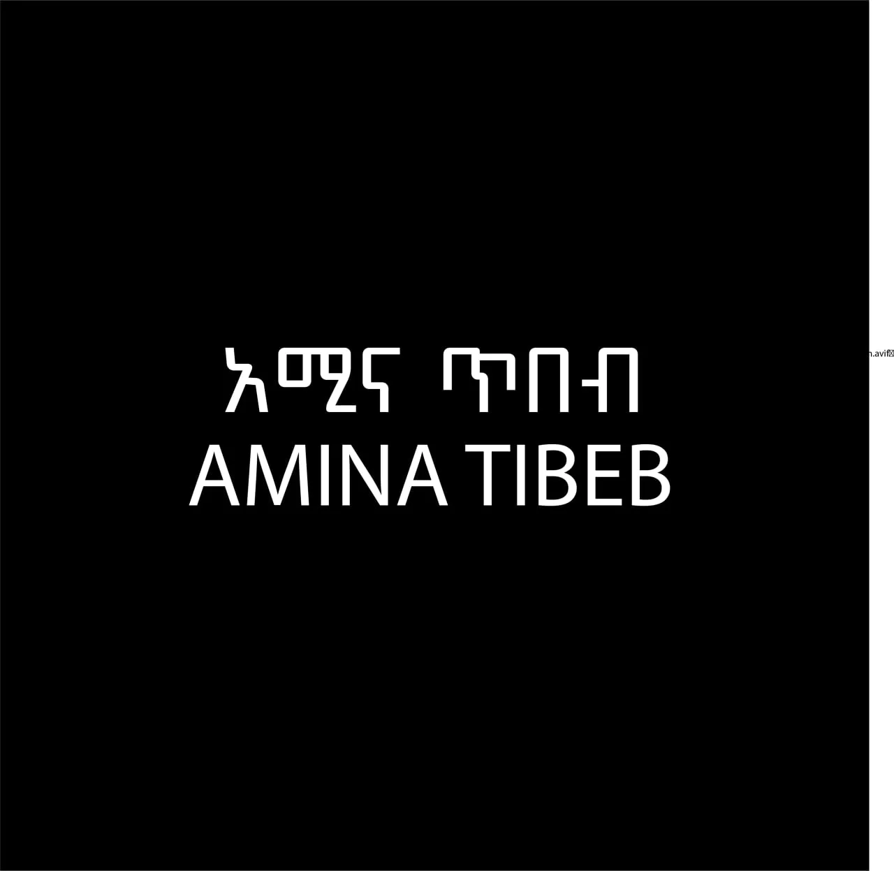 Amina Borena logo