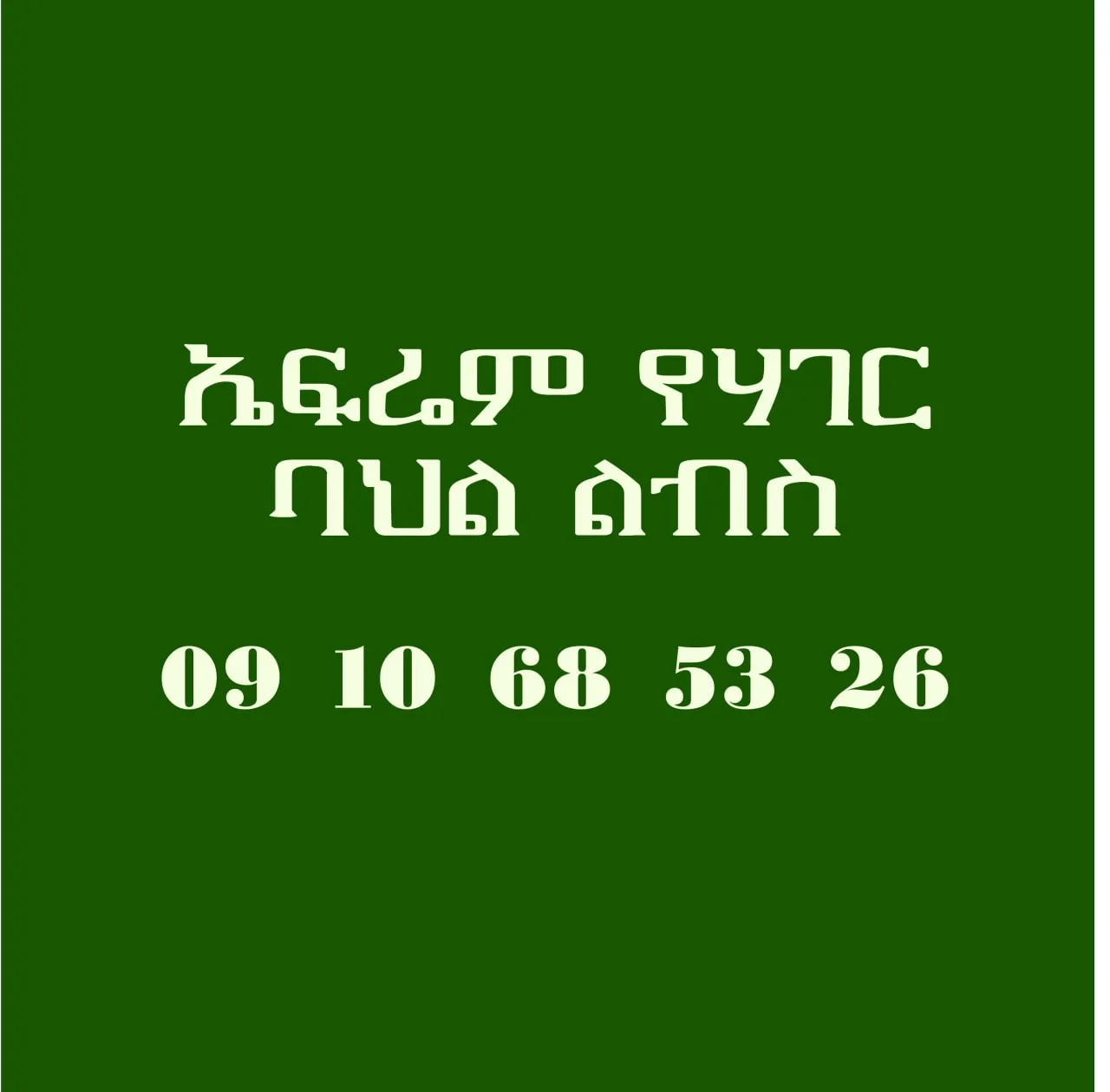 Ephrem yehager bahil libs meshecha logo