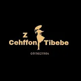 Zena Habesha logo