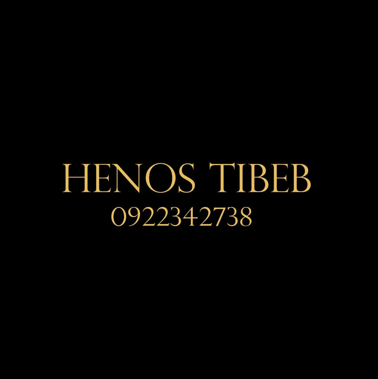 Henos Tibeb logo