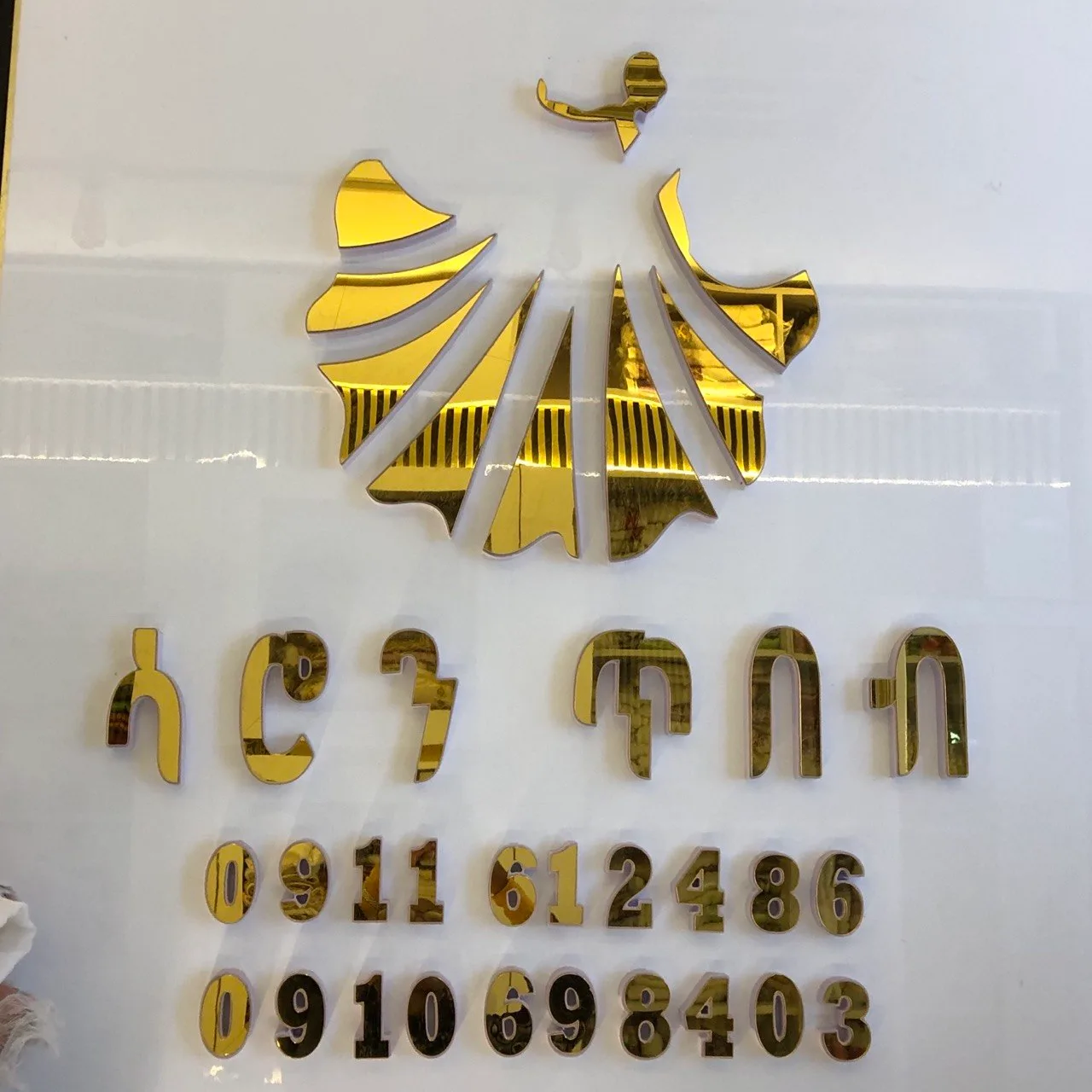 Saron Tibeb logo